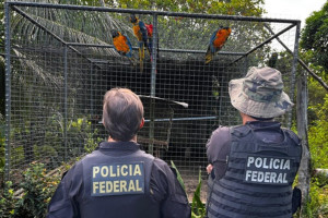 PF cumpre mandados contra tr&aacute;fico internacional de animais silvestres em Pernambuco e outros 4 estados