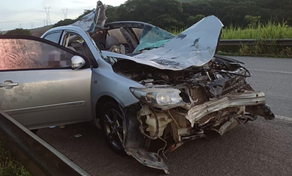 Acidente envolvendo cavalo deixou um homem morto na BR-101/Foto: PRF/Divulgação