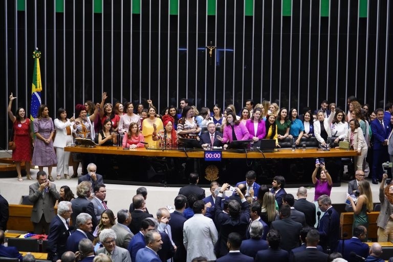 Parlamentares mulheres se sentem mais acuadas para realizar denúncias/Pablo Valadares/Câmara dos Deputados