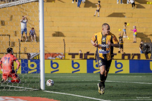 Foto: Higor Basso/Novorizontino