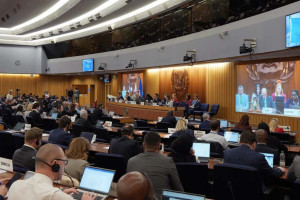 Sess&atilde;o extraordin&aacute;ria do Conselho da Organiza&ccedil;&atilde;o Mar&iacute;tima Internacional