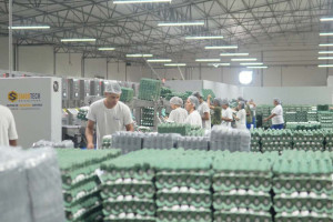 A opera&ccedil;&atilde;o faz parte do Pacto pelo Agro, uma parceria entre o Complexo Industrial Portu&aacute;rio de Suape e a Secretaria Estadual de Desenvolvimento Agr&aacute;rio, Agricultura, Pecu&aacute;ria e Pesca