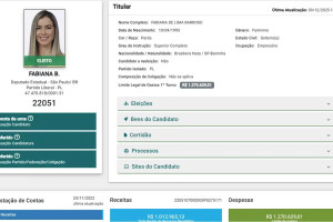 A informa&ccedil;&atilde;o est&aacute; no DivulgaCand, site do Tribunal Superior Eleitoral (TSE)