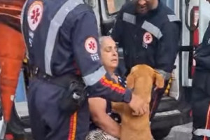 O v&iacute;deo foi compartilhado nas redes sociais pela protetora de animais Silmary de Assis