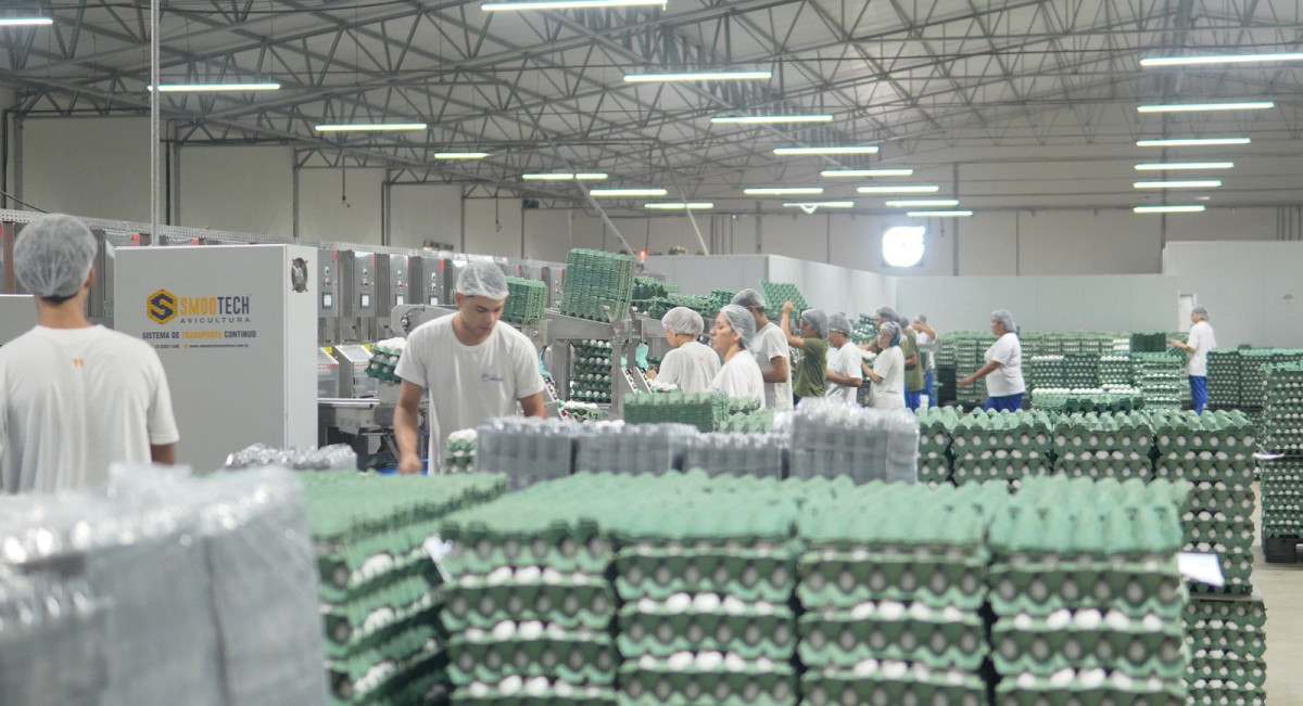 A operação faz parte do Pacto pelo Agro, uma parceria entre o Complexo Industrial Portuário de Suape e a Secretaria Estadual de Desenvolvimento Agrário, Agricultura, Pecuária e Pesca/Foto: Divulgação