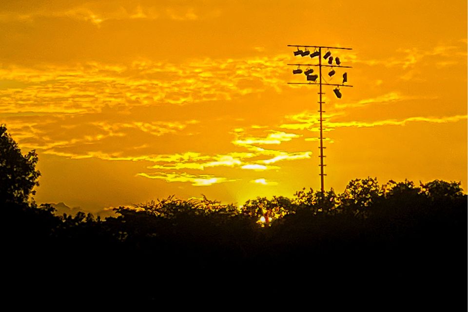 O outono caracteriza-se como uma estação de transição entre o verão e o inverno.
/Foto: Rafael Vieira / DP Fotos
