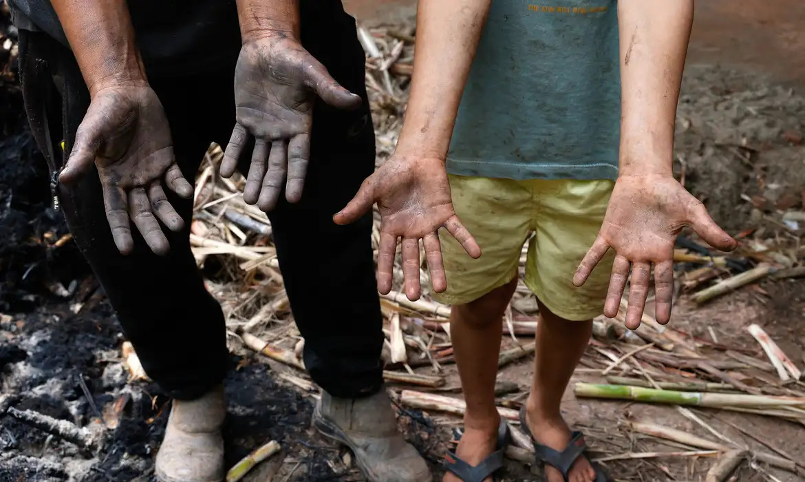 Famílias lutam para reconstruir a vida um mês depois de chuvas em MG/Tânia Rêgo/Agência Brasil