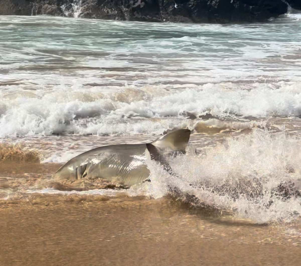 Foto: Walison Souza/Cortesia