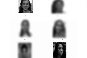 Corregedoria da SDS investiga inclus&atilde;o de fotos de deputadas em &aacute;lbum da Pol&iacute;cia Civil