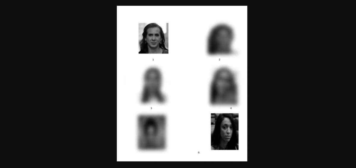 Fotos de Duda Salabert e Erika Hilton em álbum de reconhecimento de suspeitos 

/Reprodução