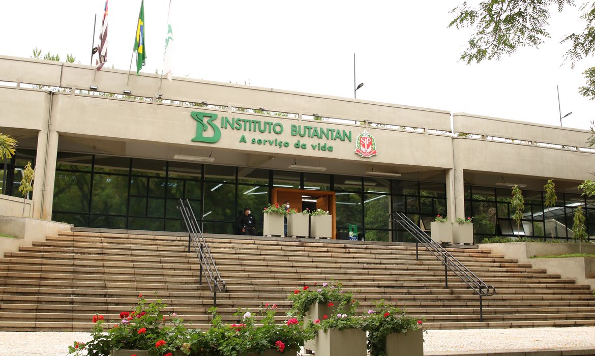 Instituto Butantan / Rovena Rosa/Agência Brasil