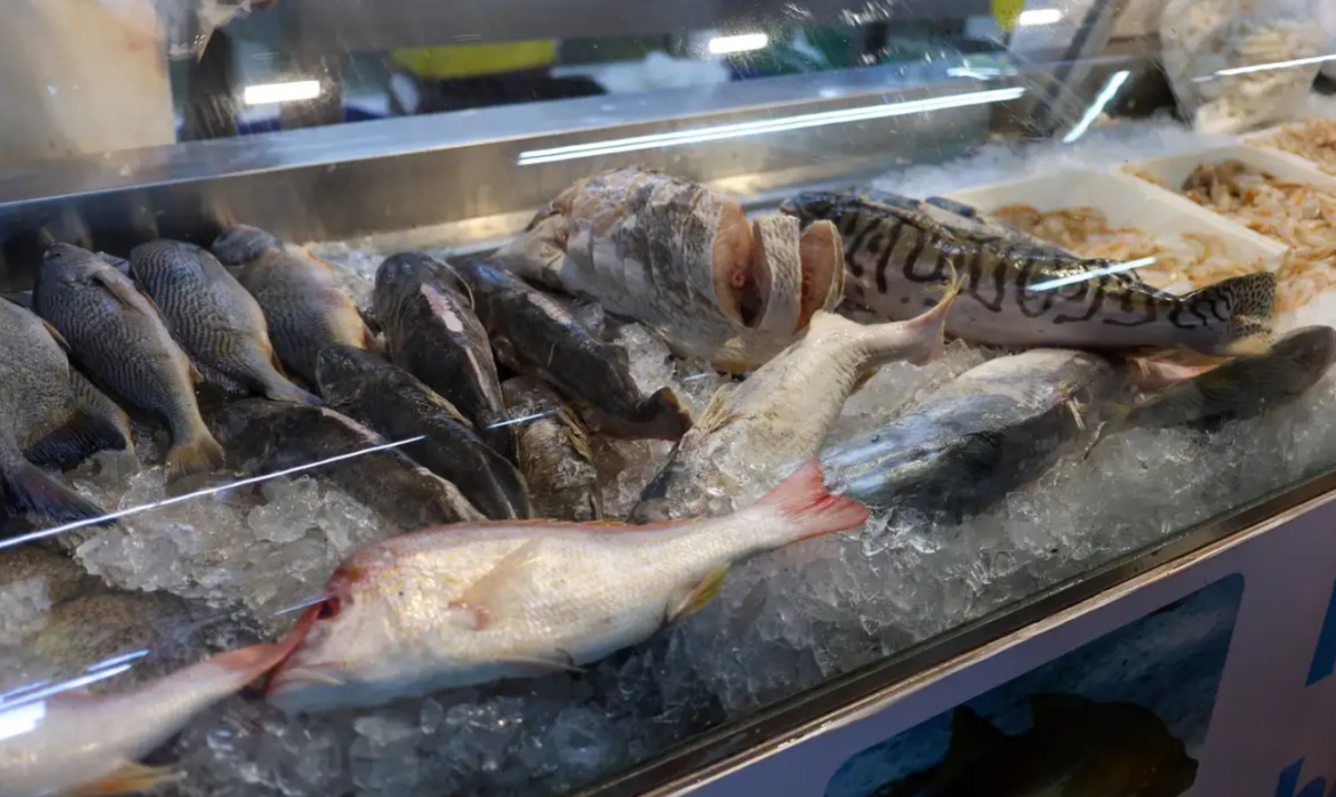 No total, a pesquisa analisou 45 itens, sendo 26 tipos de peixes, 10 de crustáceos e 9 produtos de mercearia
/Foto: Fabio Rodrigues-Pozzebom/ Agência Brasil