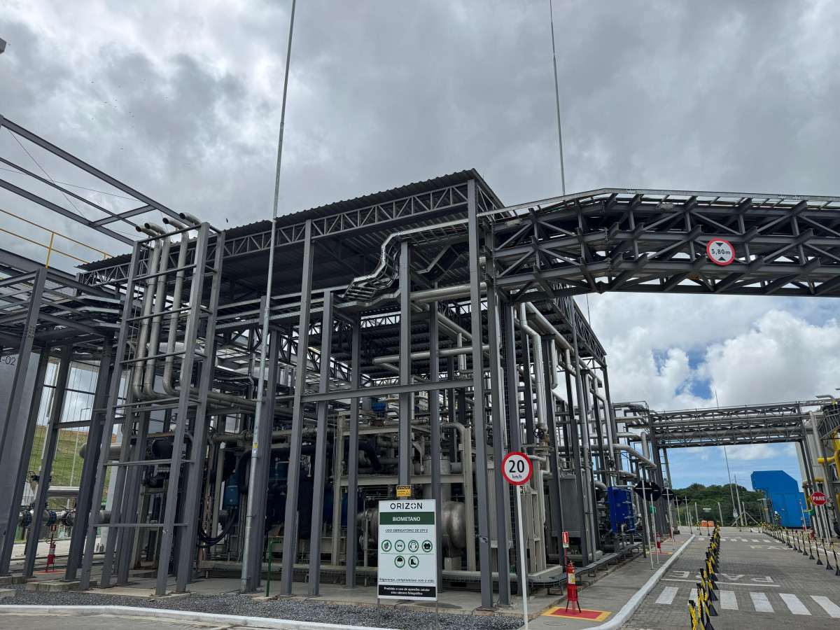 Foto: Mariana de Sousa/DP 