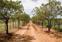 Paisagem do Sert&atilde;o do Paje&uacute;, cen&aacute;rio do livro "Sert&atilde;o de Lembran&ccedil;as". - Foto: Divulga&ccedil;&atilde;o