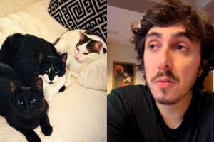 Felipe Castanhari faz alerta ap&oacute;s perder o seu gatinho envenenado por uma dedetiza&ccedil;&atilde;o