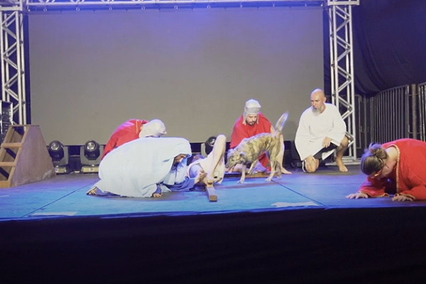 O v&iacute;deo viralizou nas redes sociais, onde os internautas se divertiram com a inoc&ecirc;ncia do animalzinho (Foto: Reprodu&ccedil;&atilde;o/V&iacute;deo @felipesilva_filmes - Mirante Produ&ccedil;&otilde;es)