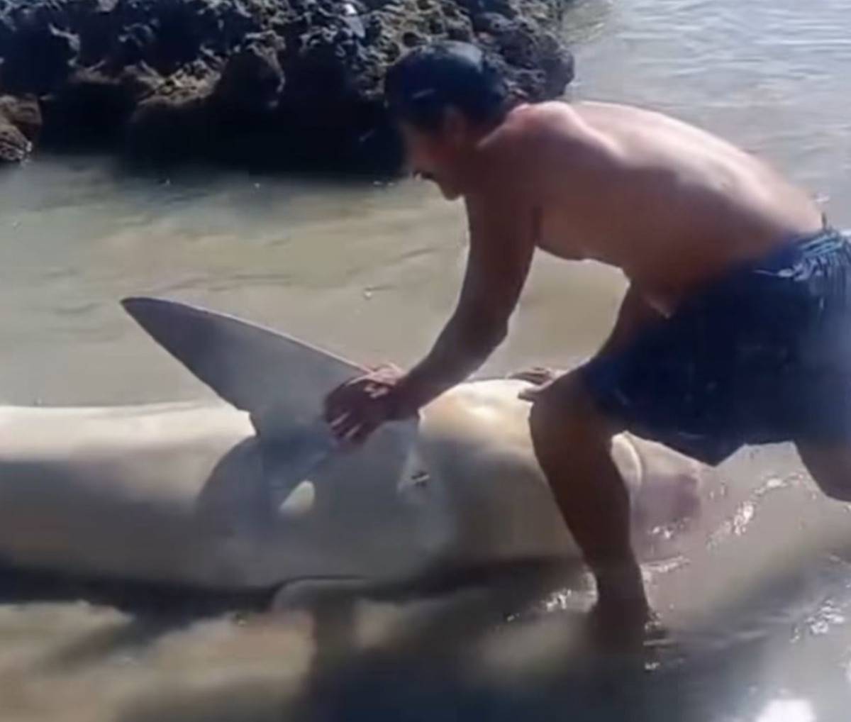 Foto: Reprodução/Instagram