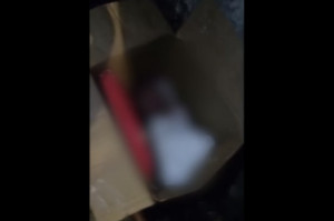 Beb&ecirc; rec&eacute;m-nascido &eacute; abandonado em caixa de papel&atilde;o