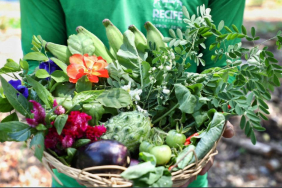 Foto: Helia Scheppa/PCR