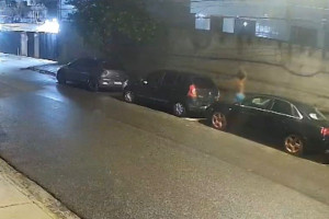 V&iacute;deo mostra homem matando capivara a pauladas
