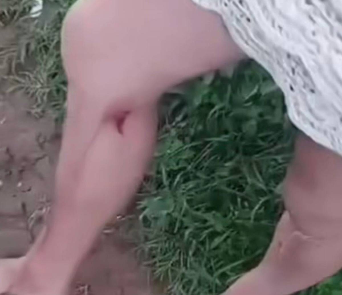 Reprodução/redes sociais