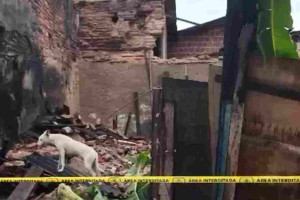 Animal foi resgatado com vida na manh&atilde; desta ter&ccedil;a (7)