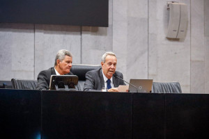 Reuni&atilde;o plen&aacute;ria