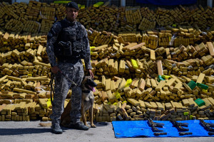 C&atilde;o leva Pol&iacute;cia a fazer apreens&atilde;o recorde de 48 toneladas de maconha no Rio
