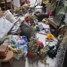 Casa ficou destru&iacute;da na invas&atilde;o, em Olinda 