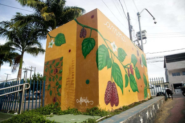 Mural localizado no Compaz Eduardo Campos traz informações e imagem sobre benefícios da amora para saúde (Foto: Marina Torres/DP Foto)