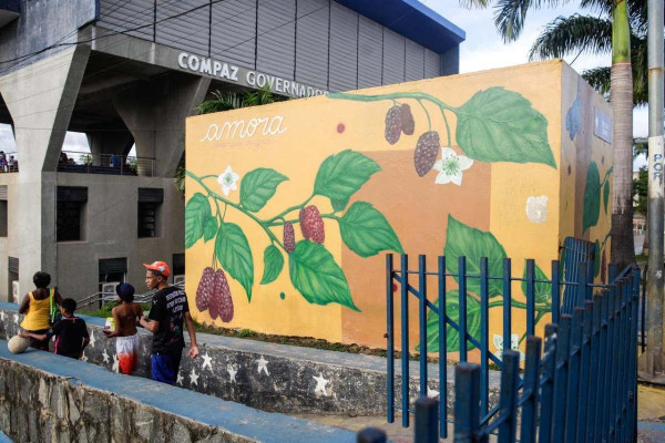 Mural localizado no Compaz Eduardo Campos traz informações e imagem sobre benefícios da amora para saúde (Foto: Marina Torres/DP Foto)