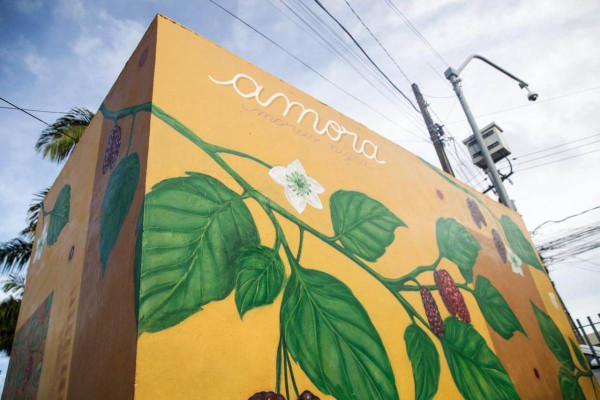Mural localizado no Compaz Eduardo Campos traz informações e imagem sobre benefícios da amora para saúde (Foto: Marina Torres/DP Foto)