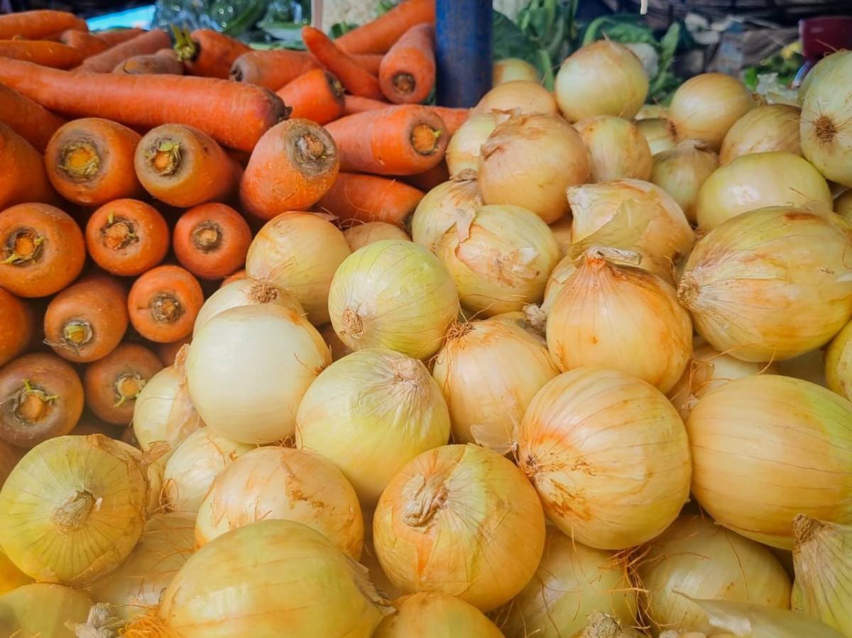 Foto: Sandy James/DP Foto