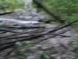 Jovem mata namorada e esquarteja corpo em Jaboat&atilde;o; pris&atilde;o aconteceu ap&oacute;s den&uacute;ncia da pr&oacute;pria m&atilde;e 