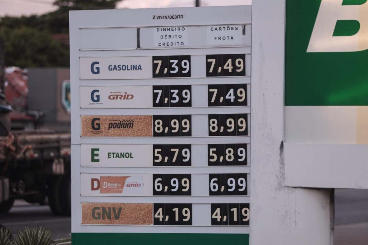 Foto: Marina Torres/DP Foto