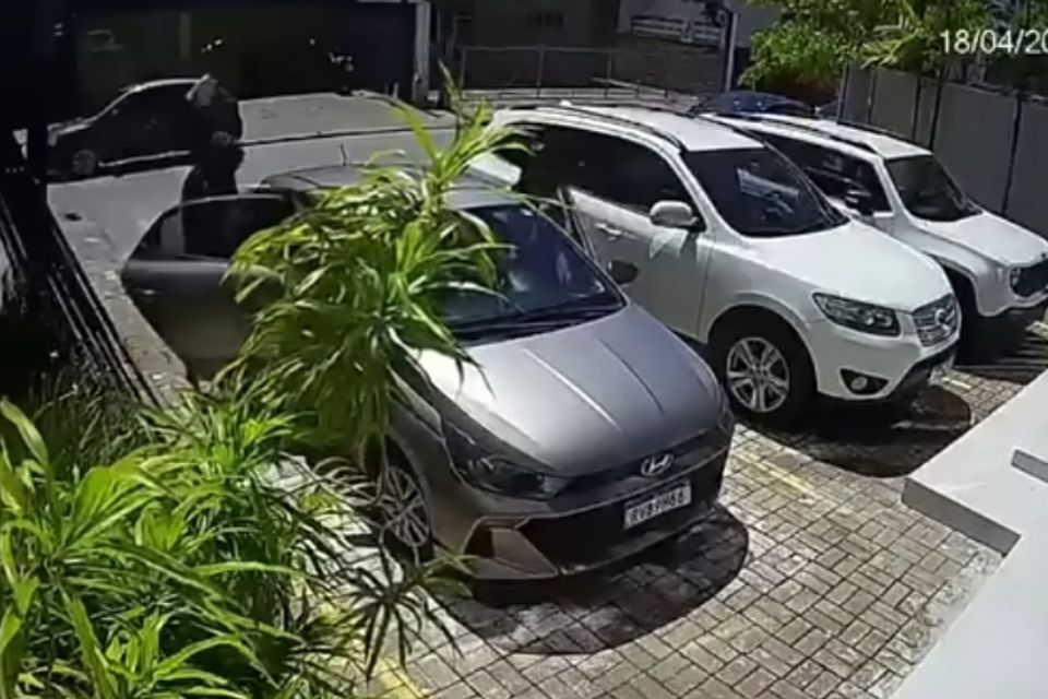 Ação foi flagrada por câmeras de segurança/Reprodução/Instagram