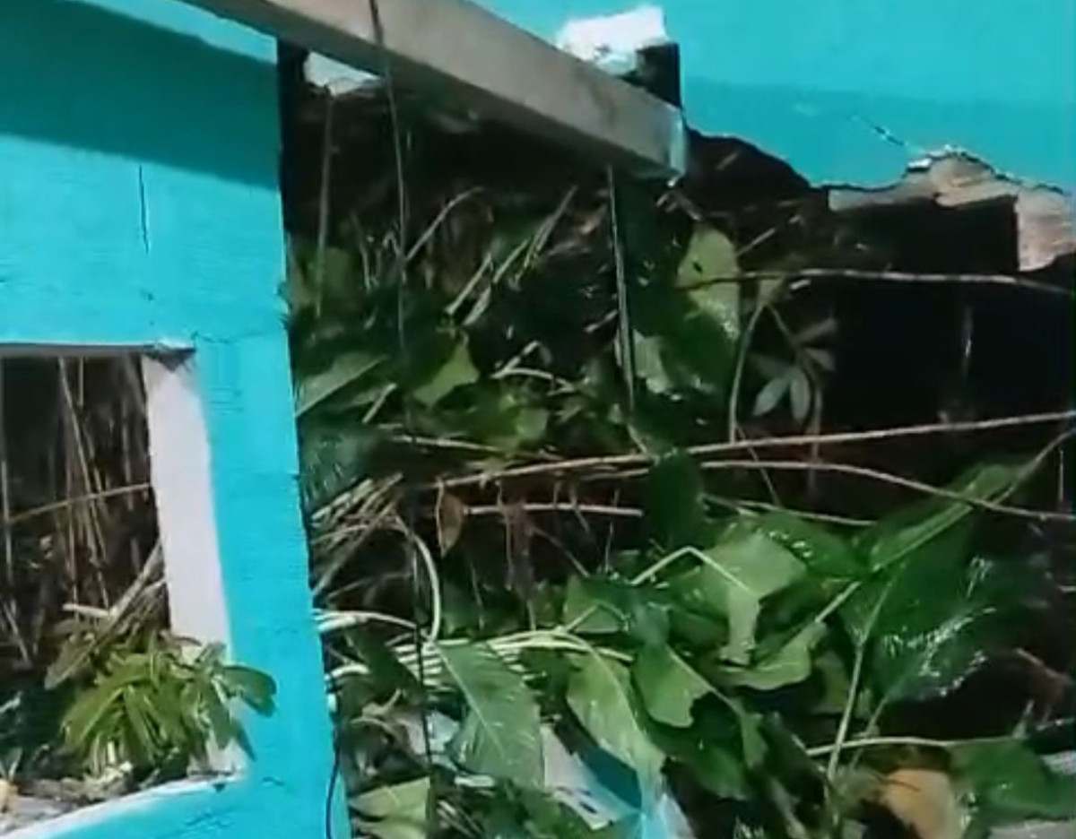 Foto: Reprodução/Whatsapp