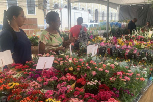 Evento apresenta um cat&aacute;logo robusto com mais de 200 esp&eacute;cies de plantas