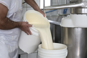 
O governo tamb&eacute;m vai anunciar uma nova linha de cr&eacute;dito rural para as cooperativas de leite da agricultura familiar, que foi aprovada em resolu&ccedil;&atilde;o do Conselho Monet&aacute;rio Nacional na &uacute;ltima quinta-feira (23)