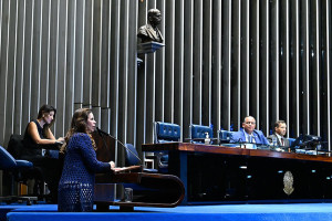 Senado aprova cria&ccedil;&atilde;o de cadastro nacional para condenados por viol&ecirc;ncia contra a mulher 