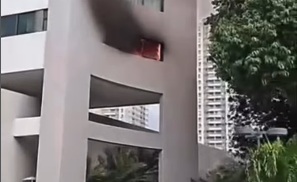 Incêndio atinge apartamento de edifício residencial na zona oeste do Recife
/REPRODUÇÃO/REDES SOCIAIS