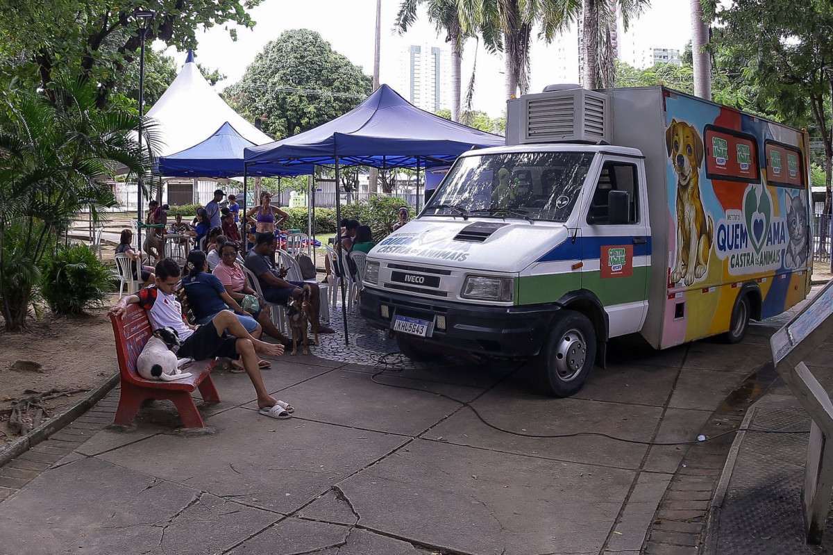 Serviço móvel atende donos de animais que optaram pela castração de cães e gatos  /Rafael Vieira/DP