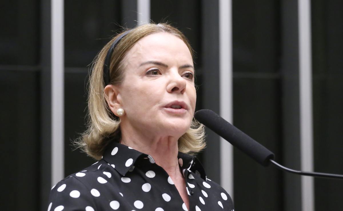 Dep. Gleisi Hoffman (PT - PR)/Bruno Spada/Câmara dos Deputados