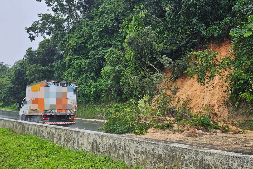 Desabamento de árvore na BR-408, em São Lourenço da Mata /DIVULGAÇÃO/PRF