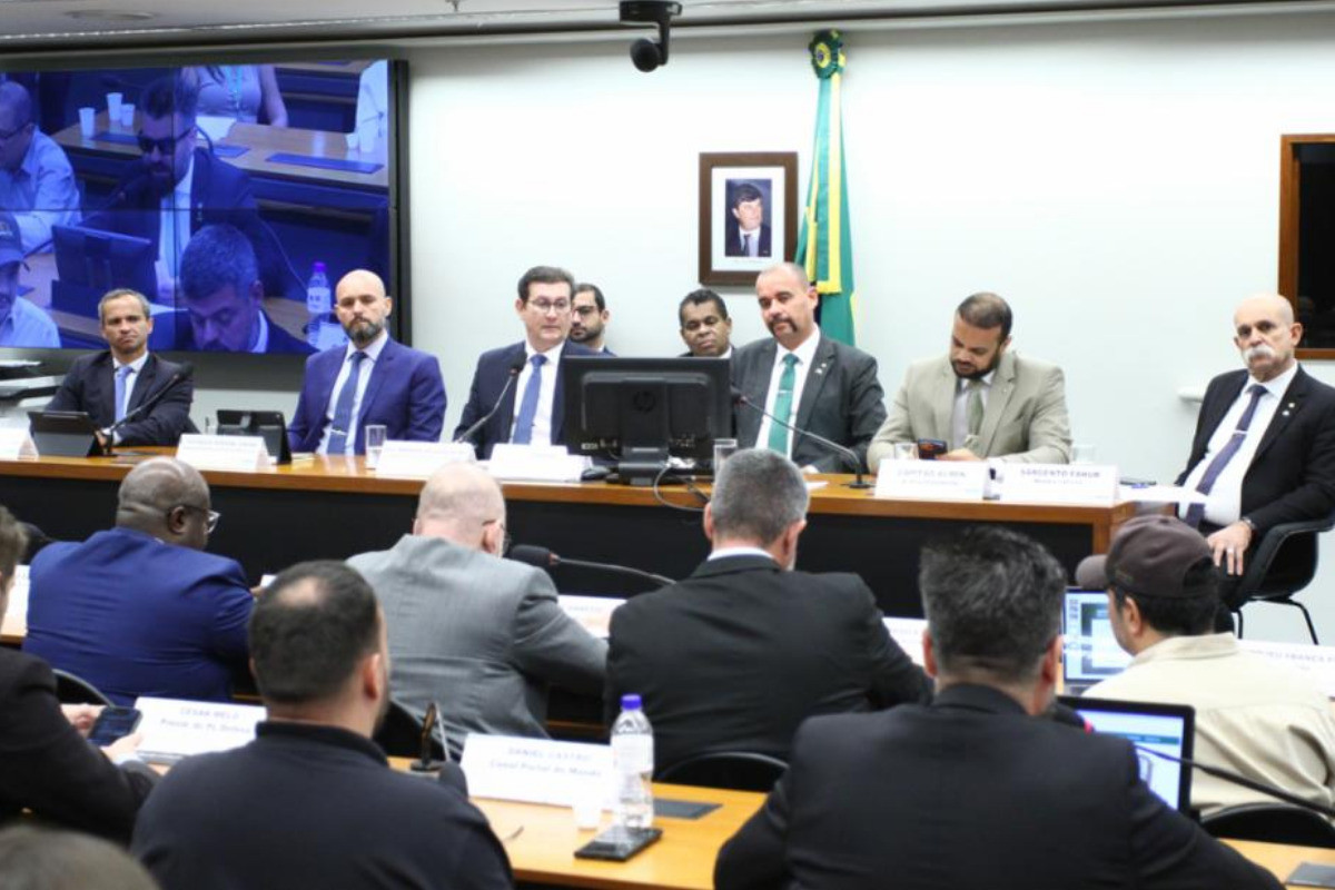 Comissão de Segurança Pública e Combate ao Crime Organizado/Foto: Vinicius Loures / Câmara dos Deputados