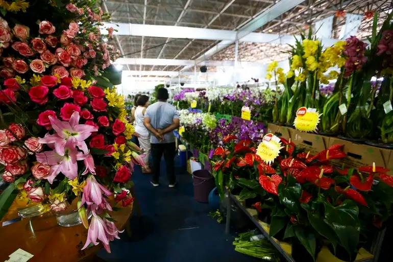 Nos estabelecimentos visitados pelas equipes do Procon, os preços da rosa variaram entre R$ 5,00 e R$ 25,00/Foto: Marcelo Camargo/Agência Brasil