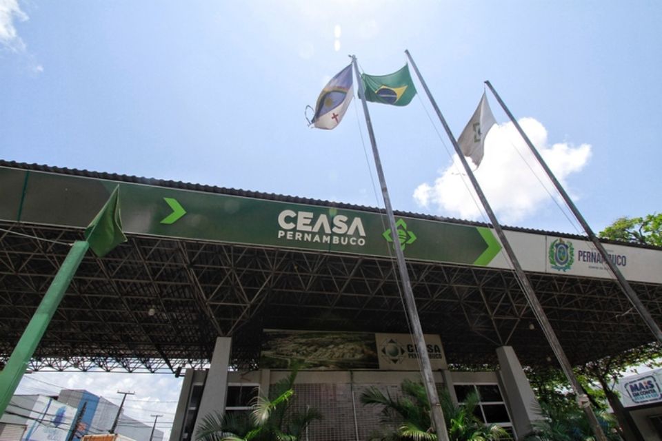 Homem &eacute; morto a facadas durante discuss&atilde;o na Ceasa, no Recife
/Foto: Romulo Chico/DP