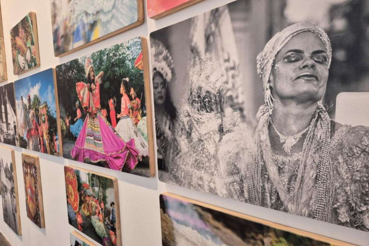 Imagens da exposição 