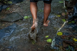 Pernambuco tem mais de um caso de leptospirose por semana em 2026