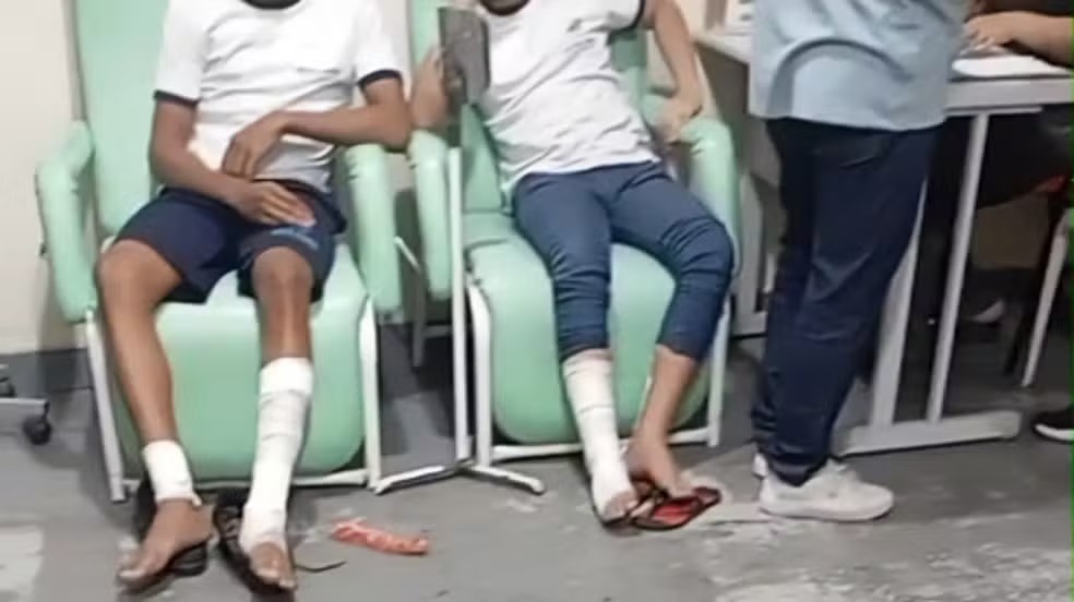 Reprodução